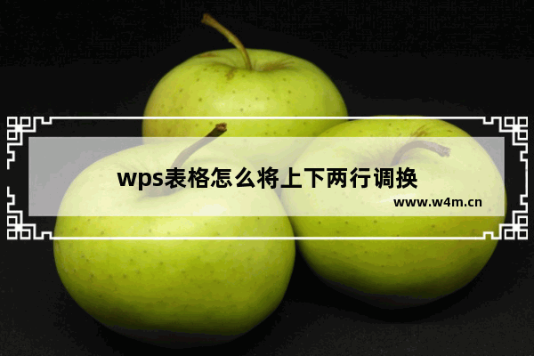 wps表格怎么将上下两行调换