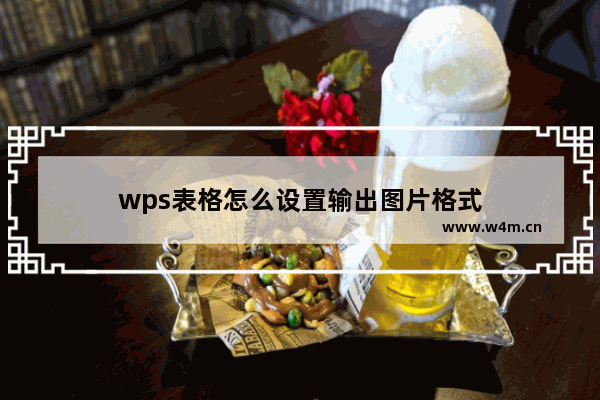 wps表格怎么设置输出图片格式