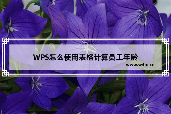 WPS怎么使用表格计算员工年龄