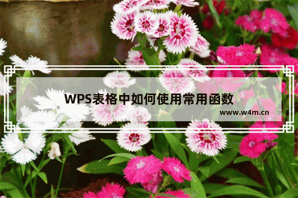 WPS表格中如何使用常用函数