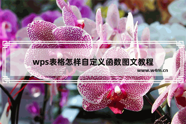 wps表格怎样自定义函数图文教程