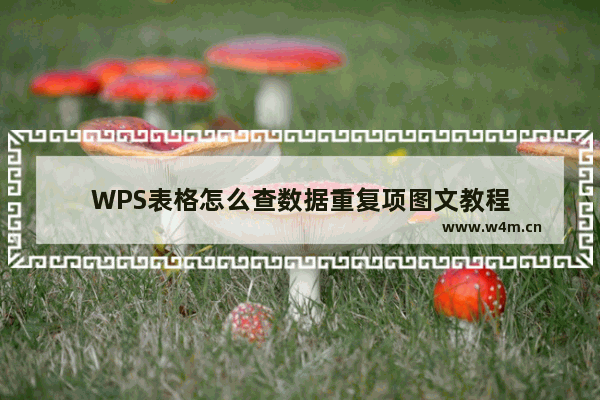 WPS表格怎么查数据重复项图文教程