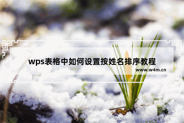 wps表格中如何设置按姓名排序教程