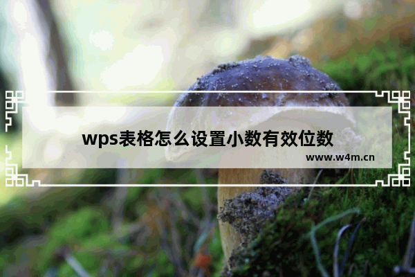 wps表格怎么设置小数有效位数