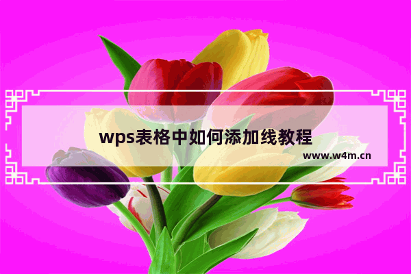 wps表格中如何添加线教程