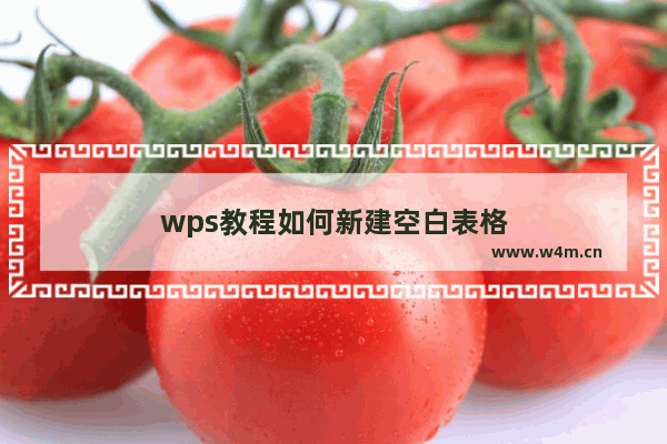 wps教程如何新建空白表格