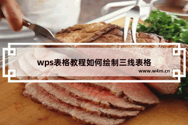 wps表格教程如何绘制三线表格