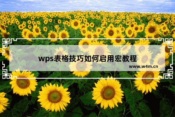 wps表格技巧如何启用宏教程