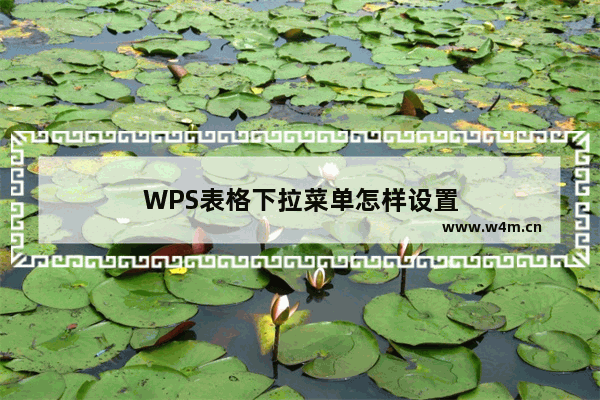 WPS表格下拉菜单怎样设置