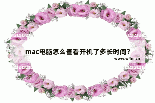 mac电脑怎么查看开机了多长时间？