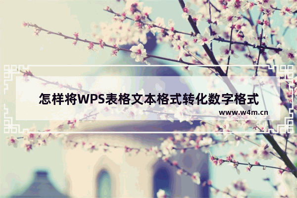 怎样将WPS表格文本格式转化数字格式