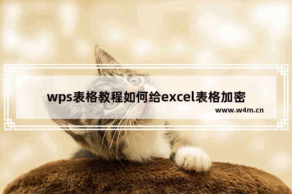 wps表格教程如何给excel表格加密