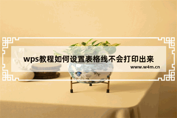 wps教程如何设置表格线不会打印出来