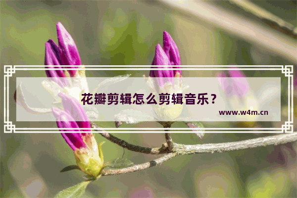 花瓣剪辑怎么剪辑音乐？