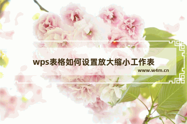 wps表格如何设置放大缩小工作表