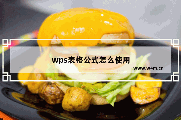 wps表格公式怎么使用