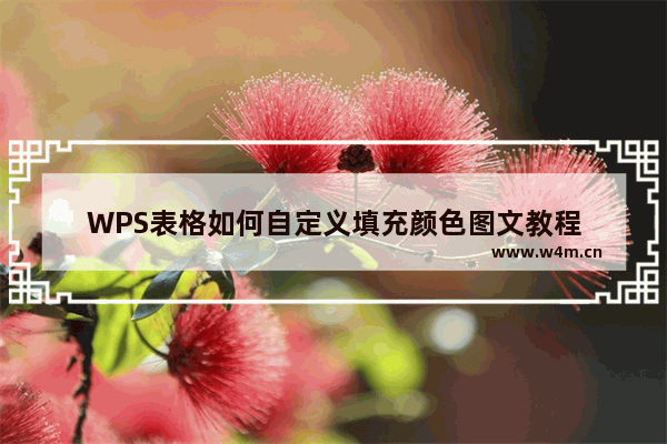 WPS表格如何自定义填充颜色图文教程