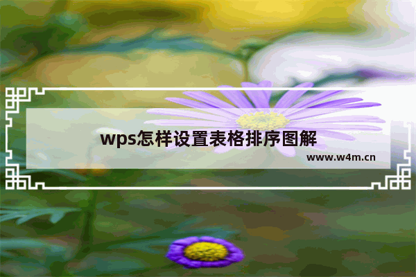 wps怎样设置表格排序图解