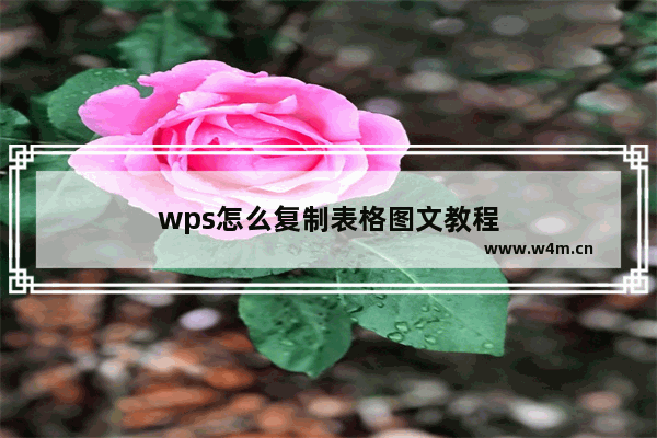 wps怎么复制表格图文教程