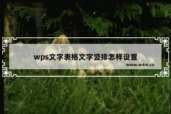 wps文字表格文字竖排怎样设置