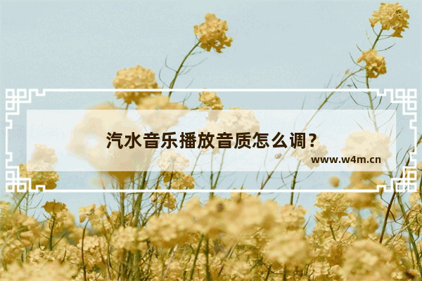 汽水音乐播放音质怎么调？