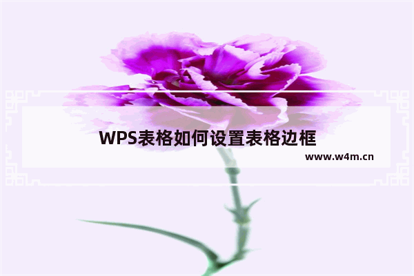 WPS表格如何设置表格边框