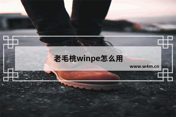 老毛桃winpe怎么用