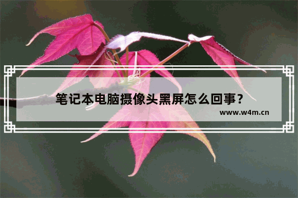 笔记本电脑摄像头黑屏怎么回事？