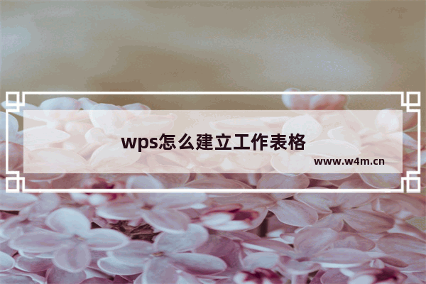 wps怎么建立工作表格