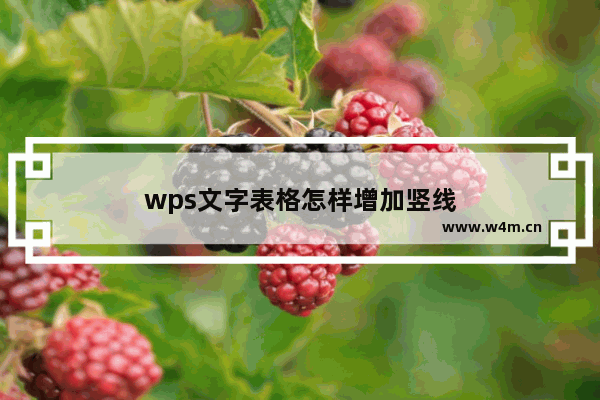 wps文字表格怎样增加竖线