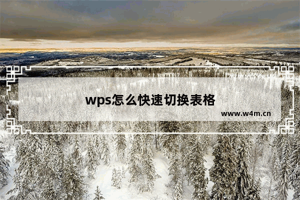 wps怎么快速切换表格