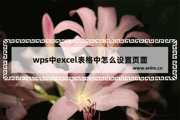 wps中excel表格中怎么设置页面