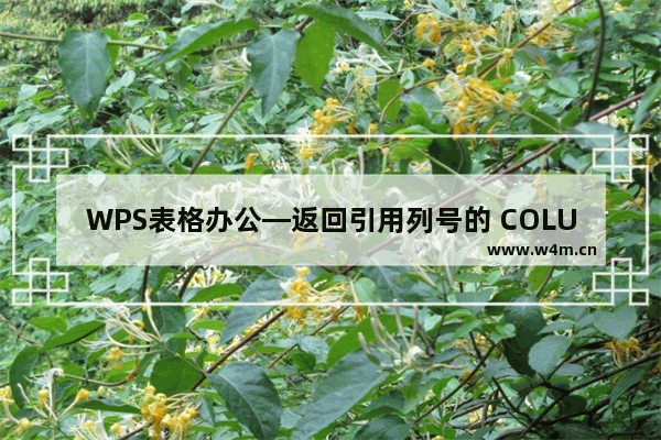 WPS表格办公—返回引用列号的 COLUMN 函数