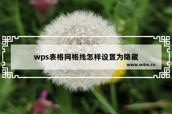 wps表格网格线怎样设置为隐藏