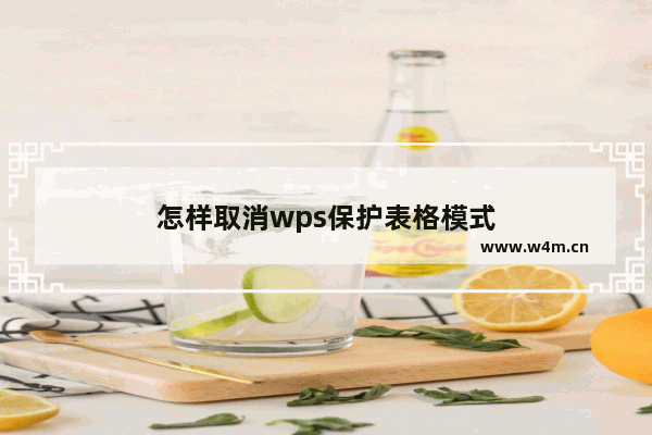 怎样取消wps保护表格模式