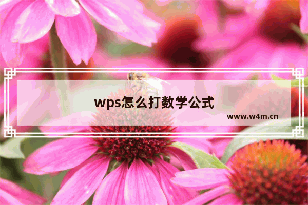 wps怎么打数学公式