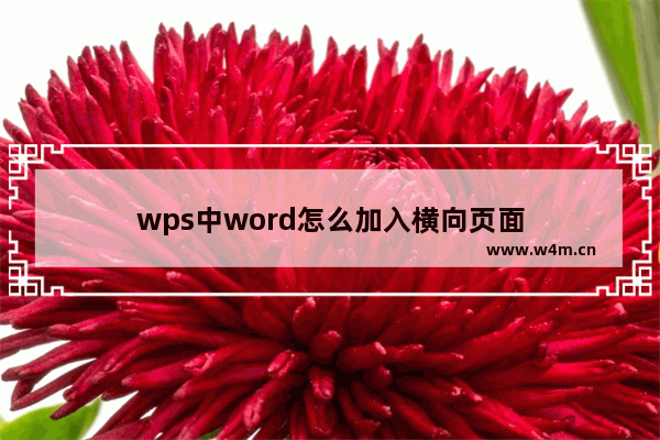 wps中word怎么加入横向页面