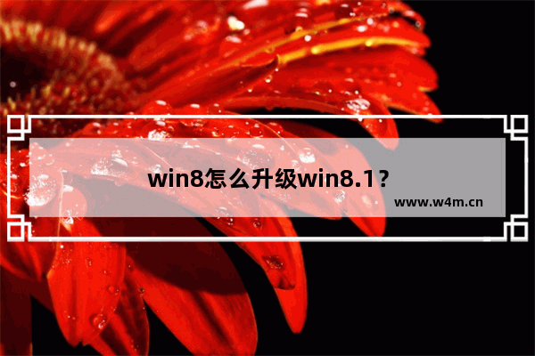 win8怎么升级win8.1？