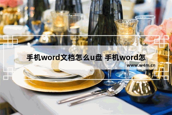 手机word文档怎么u盘 手机word怎么存u盘