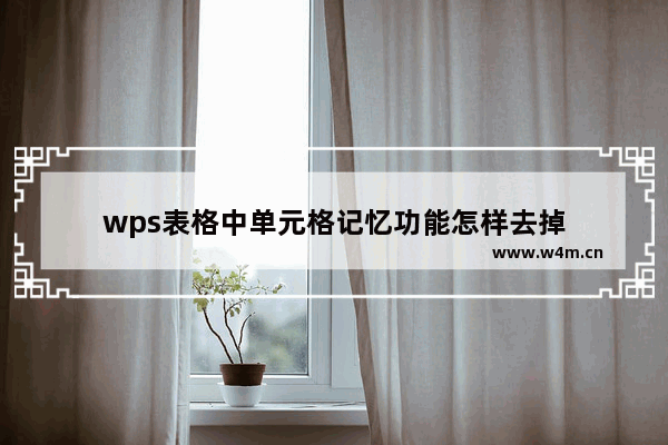 wps表格中单元格记忆功能怎样去掉