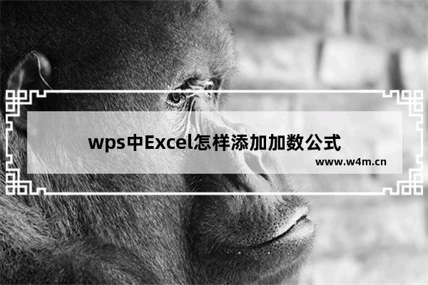 wps中Excel怎样添加加数公式