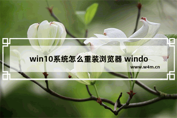 win10系统怎么重装浏览器 windows10怎么重装ie浏览器