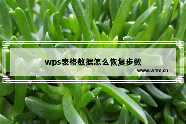 wps表格数据怎么恢复步数