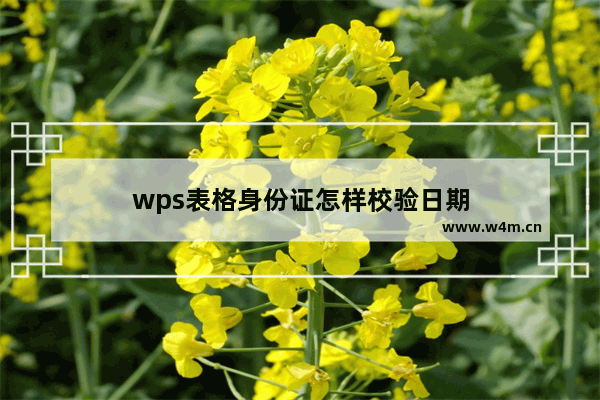 wps表格身份证怎样校验日期