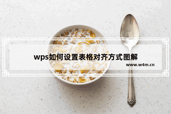 wps如何设置表格对齐方式图解