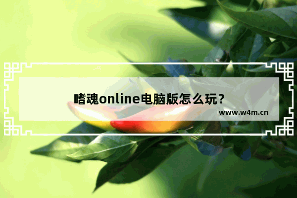 嗜魂online电脑版怎么玩？