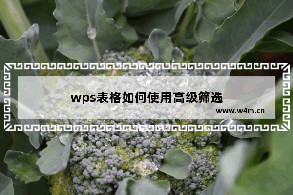 wps表格如何使用高级筛选