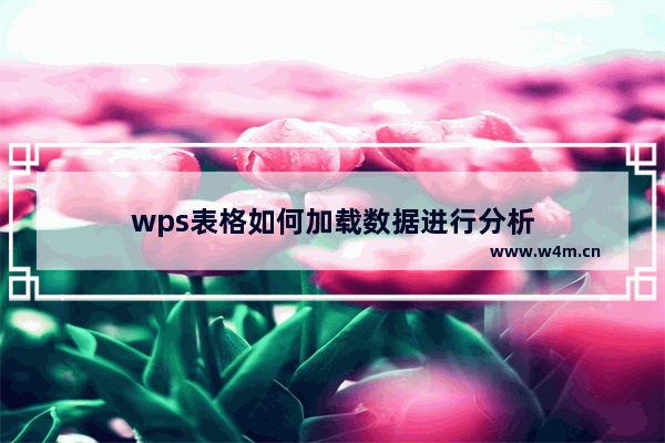 wps表格如何加载数据进行分析