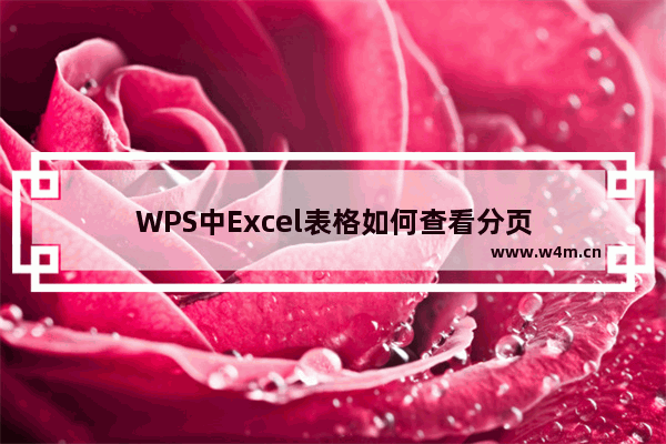 WPS中Excel表格如何查看分页