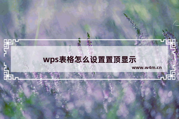 wps表格怎么设置置顶显示